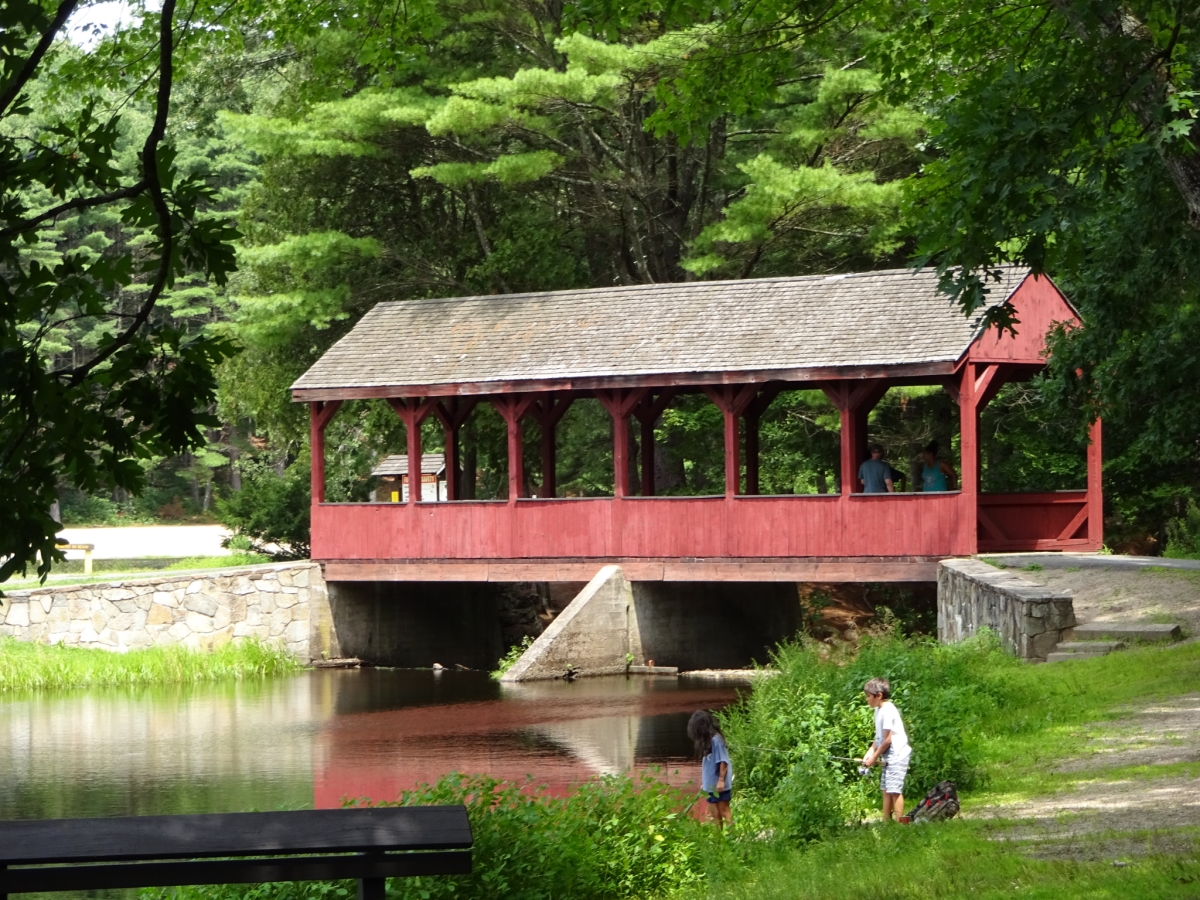 Stratton Brook State Park in Connecticut