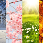 four seasons